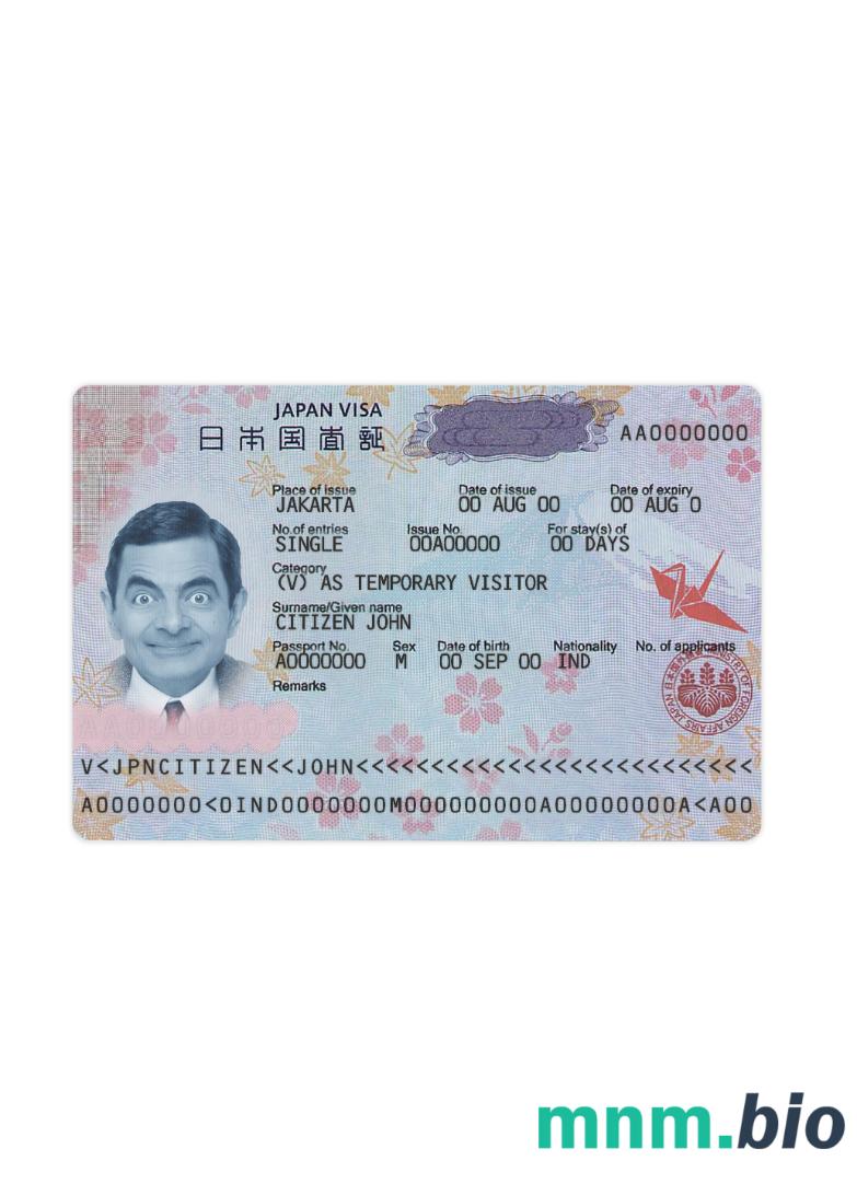 Japan travel visa new